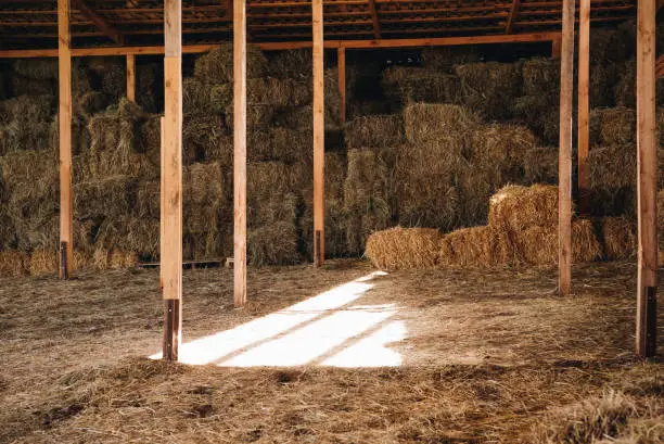 Photo of stacked hay in agricultural stall at farmhouse
