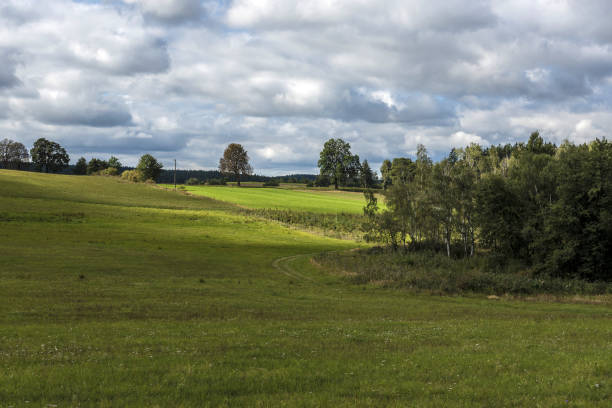 istock green meadow illuminated by the afternoon sun 853923174
