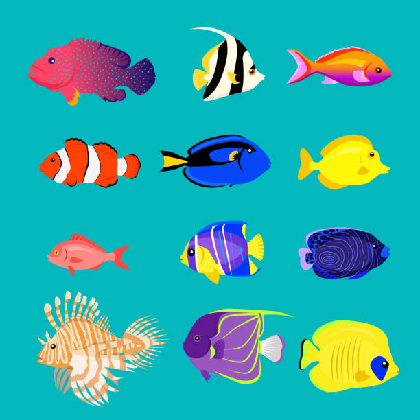 ilustraciones, imágenes clip art, dibujos animados e iconos de stock de conjunto de mar peces color diseño plana - de peces coloridos dibujos animados colección gráficos
