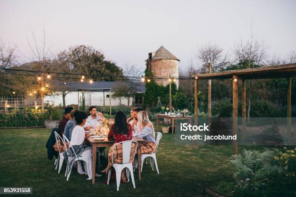 Group Of Men And Women Having Outdoors Party Stock Photo - Download Image Now - Yard - Grounds, Dinner, Outdoors