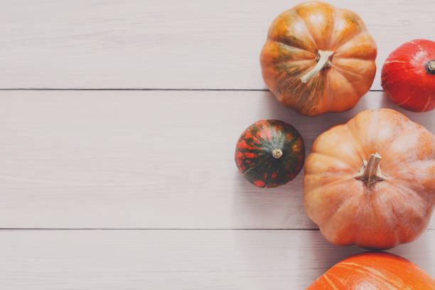 istock Pumpkins on white wood background with copy space 853938358