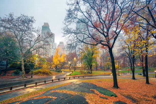 istock NY Central park at rainy morning 853940452