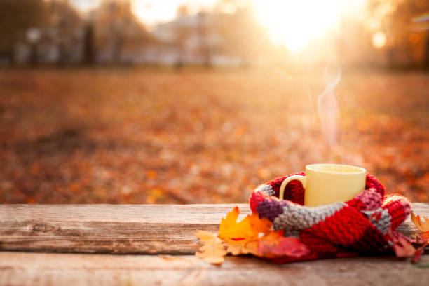 istock Tea mug covered with warm scarf on wooden surface 853943664