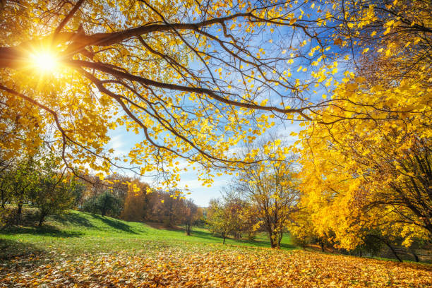 istock Sunny autumn in countryside 853947834