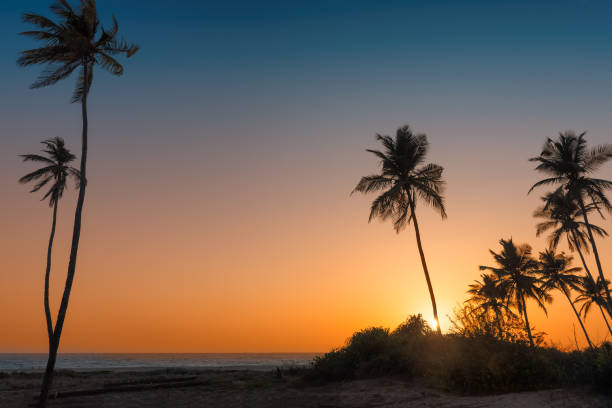 istock Sunset on paradise tropical beach 853954726
