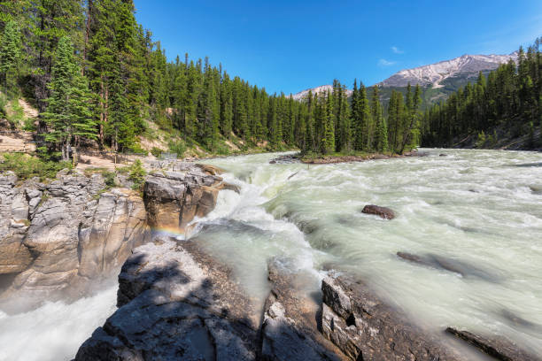 istock Sunwapta Falls in Jasper National Park 853954958