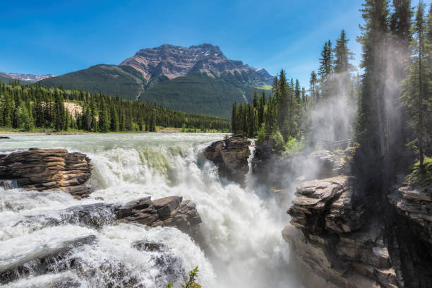 istock Athabasca Falls in Jasper National Park 853955184