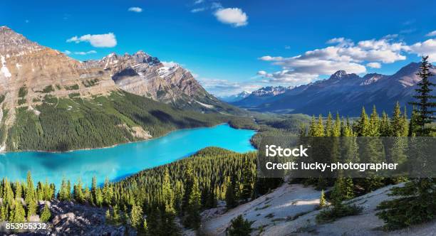 Panorama Of Peyto Lake In Banff National Park Stock Photo - Download Image Now - Canada, Banff National Park, Lake Louise - Lake