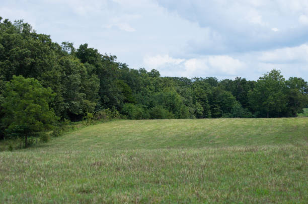 istock Green field and blue skies 853955838