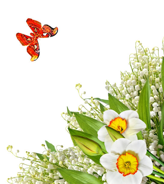 istock Summer landscape. insects.  butterfly 853955886