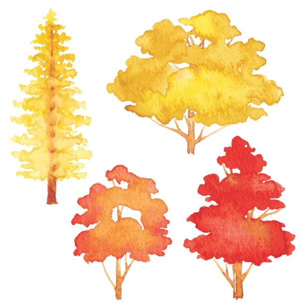 illustrazioni stock, clip art, cartoni animati e icone di tendenza di set di acquerelli alberi autunnali - tree symbol watercolour paints watercolor painting
