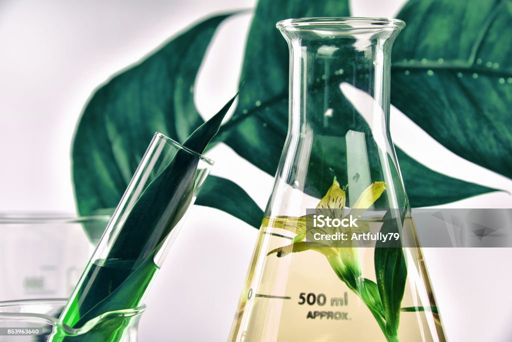Folhas de extração orgânica natural e verde herbal, solução de essência de aroma de flor no laboratório. - Foto de stock de Natureza royalty-free