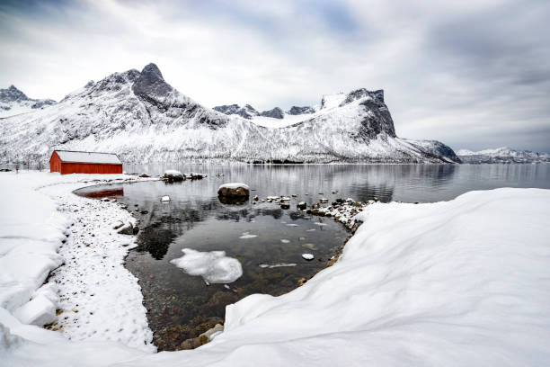 Panoramic view on the island Senja island in Northern Norway during a cold winter day. The grounds and mountains are covered in snow under a dark stormy sky.