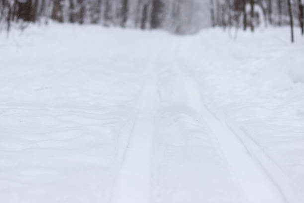 冬の森のスキー トラック - rural scene russia ski track footpath ストックフォトと画像