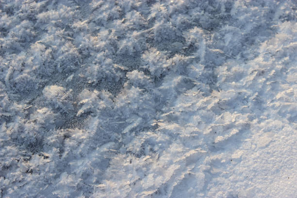 istock Snow covered with hoarfrost under the sun. 853978864