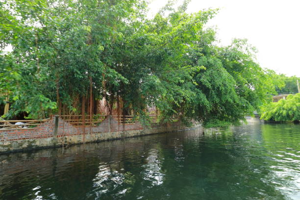 istock Tam coc in Ninh Binh, Vietnam 853983650