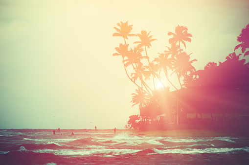 Sunset in Hikkaduwa. Colorful palm tree silhouettes on the beach.