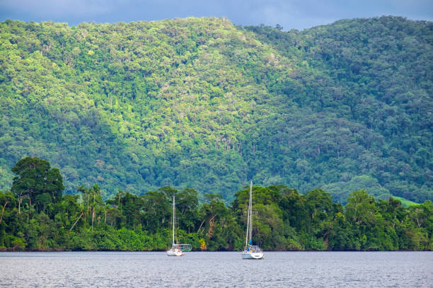 Two yachts moored up on the Daintree River in Queensland.