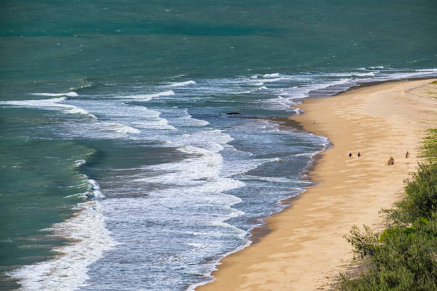 istock Beaches Of North Queensland, Australia 853989502
