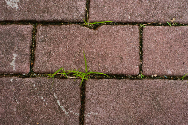 istock rain puddles on a pavement in the city, wet floor 853990902