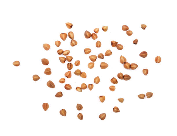 istock buckwheat grain isolated on white background close up. Top view 853994554
