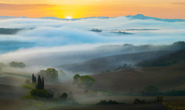 istock classic tuscan landscape,Fields and vineyards in the morning mist 853994630