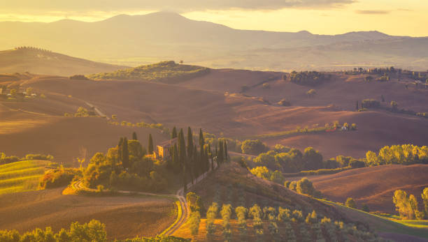 istock classic tuscan landscape,Fields and vineyards in the morning mist 854005268