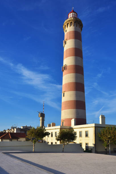 istock Lighthouse Farol da Barra, Portugal 854005306