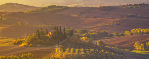 istock classic tuscan landscape,Fields and vineyards in the morning mist 854005434