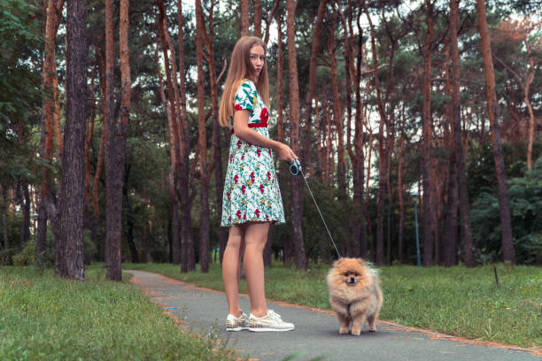 istock A girl is walking with a park with a dog. Pomeranian Spitz 854005656
