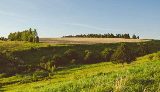 istock Sunny summer landscape with trees growing on the hillsides 854005952