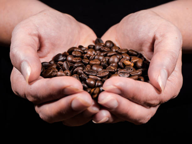 istock Womens hand with coffee beans with black background over wooden table 854005968
