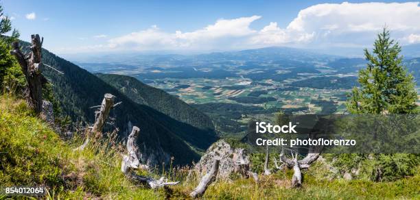 View From Mountain Petzen To Valley Drau In Carinthia Stock Photo - Download Image Now