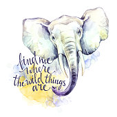 aquarell-elefant-mit-handschriftlichen-inspiration-satz-afrikanische-tiere-tierwelt-kunst.jpg?b=1&s=170x170&k=20&c=ZtARxSg5YkL7RM2cW37mzEpJRJKVJUV4YfYeCk0pyWU=