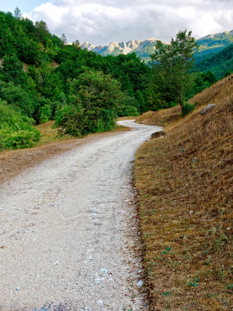 istock Gravel path in the nature 854019188