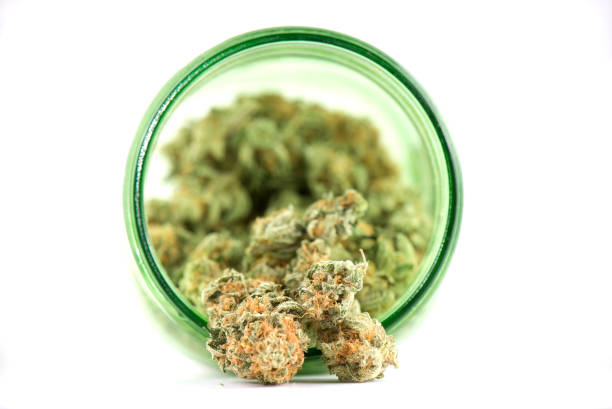 Detail of cannabis buds (mango puff strain) on green glass jar isolated on white - fotografia de stock