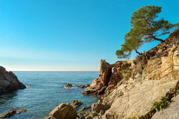 istock Coast of Lloret de Mar. 854033418