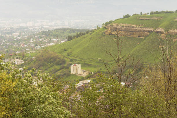 istock Top view on the spring town in the mountains.Kislovodsk 854047624
