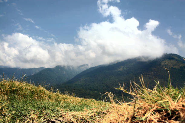 Landscape of the Caucasus mountains with clouds and grass