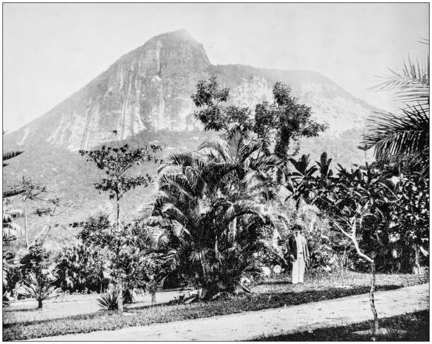 antikes foto des weltweit berühmten sehenswürdigkeiten: botanische gärten und mt corcovado in rio de janeiro, brasilien - corcovado stock-grafiken, -clipart, -cartoons und -symbole