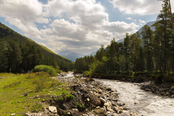 istock The Caucasian mountain stream flowing through the gorge is surrounded by a coniferous forest 854061318
