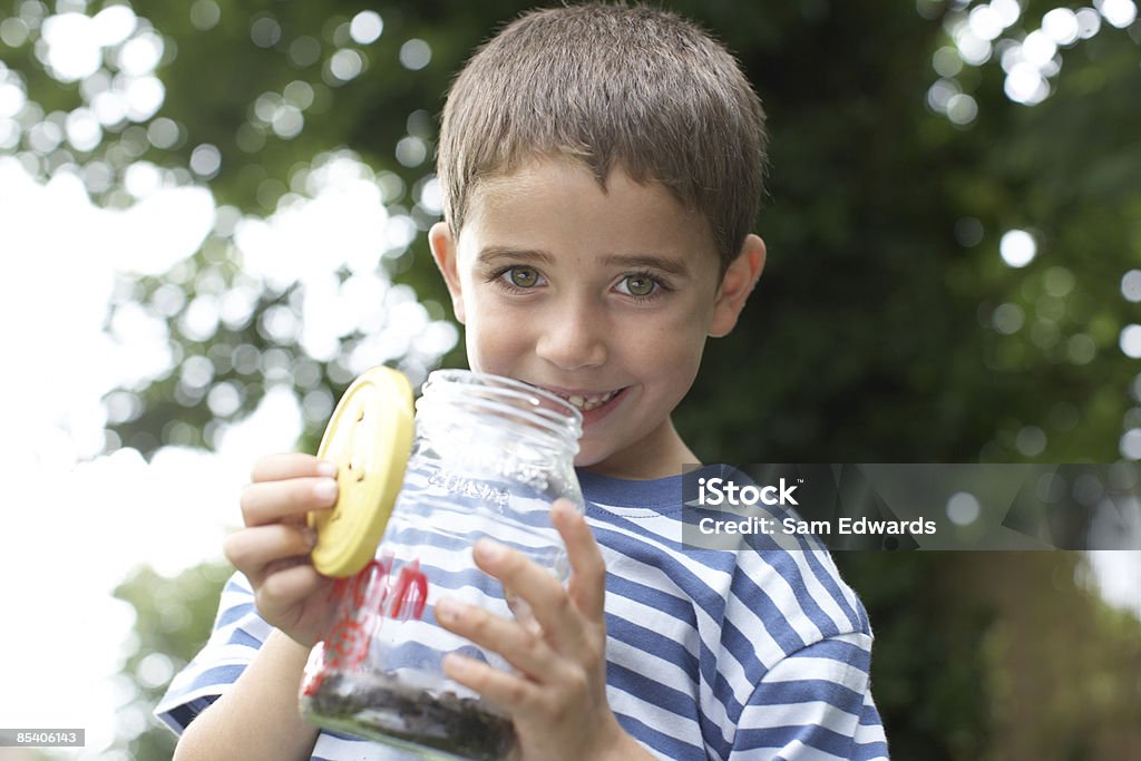 Мальчик держит насекомое Стеклянная банка - Стоковые фото Детство роялти-фри