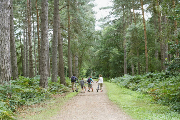 семья, ходьба с велосипеды в лесу - cycling bicycle forest nature стоковые фото и изображения