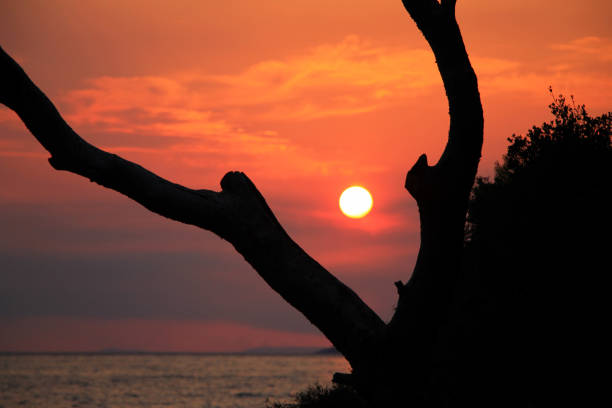 istock Beautiful sunset in Brela , Croatia 854066400