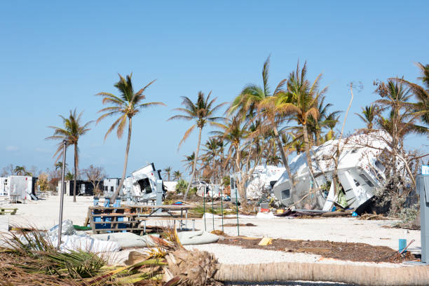 çöpe atılan karavan parkında büyük çam anahtar bir kasırga sonra - hurricane florida stok fotoğraflar ve resimler