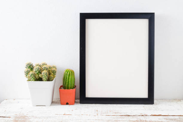 istock succulents or cactus in concrete pots over white background on the shelf and mock up frame photo 854073690