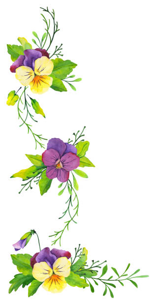 istock Watercolor border of pansies 854083304