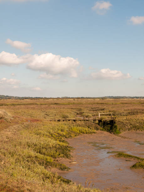 istock open landscape marshland scene outside empty no people grass and sky 854083714