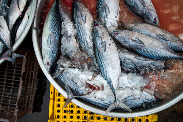 istock Fresh fish at the market, ice-cold 854084884