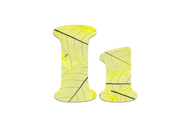 istock Leaf textured  letter  in a 3D illustration  on a white background 854089610
